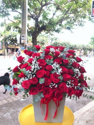 Shop Hoa Tươi Thị trấn Kon Dơng, Mang Yang, Gia Lai