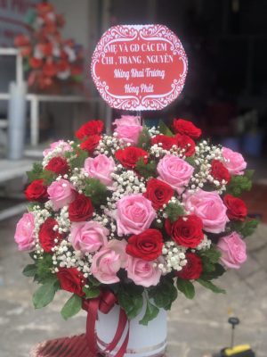 Shop Hoa Tươi Huyện Đak Pơ, Tỉnh Gia Lai