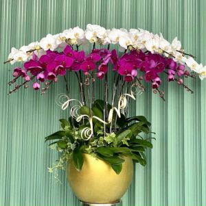 Shop Hoa Tươi Huyện Đức Cơ, Tỉnh Gia Lai