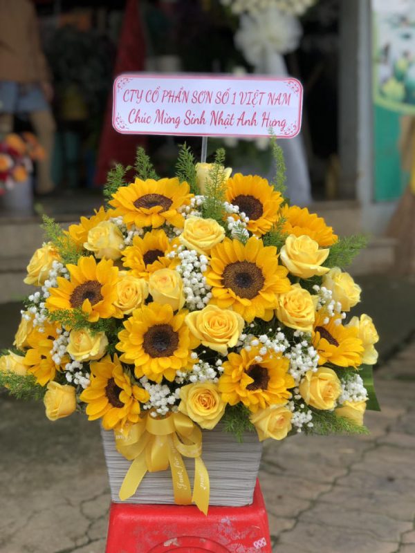 Shop Hoa Tươi Thị xã An Khê, Tỉnh Gia Lai